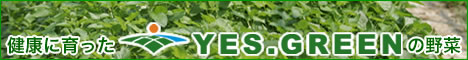 ���N�Ɉ����YES.GREEN�̖��